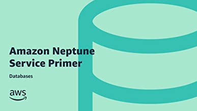Amazon Neptune Service Primer